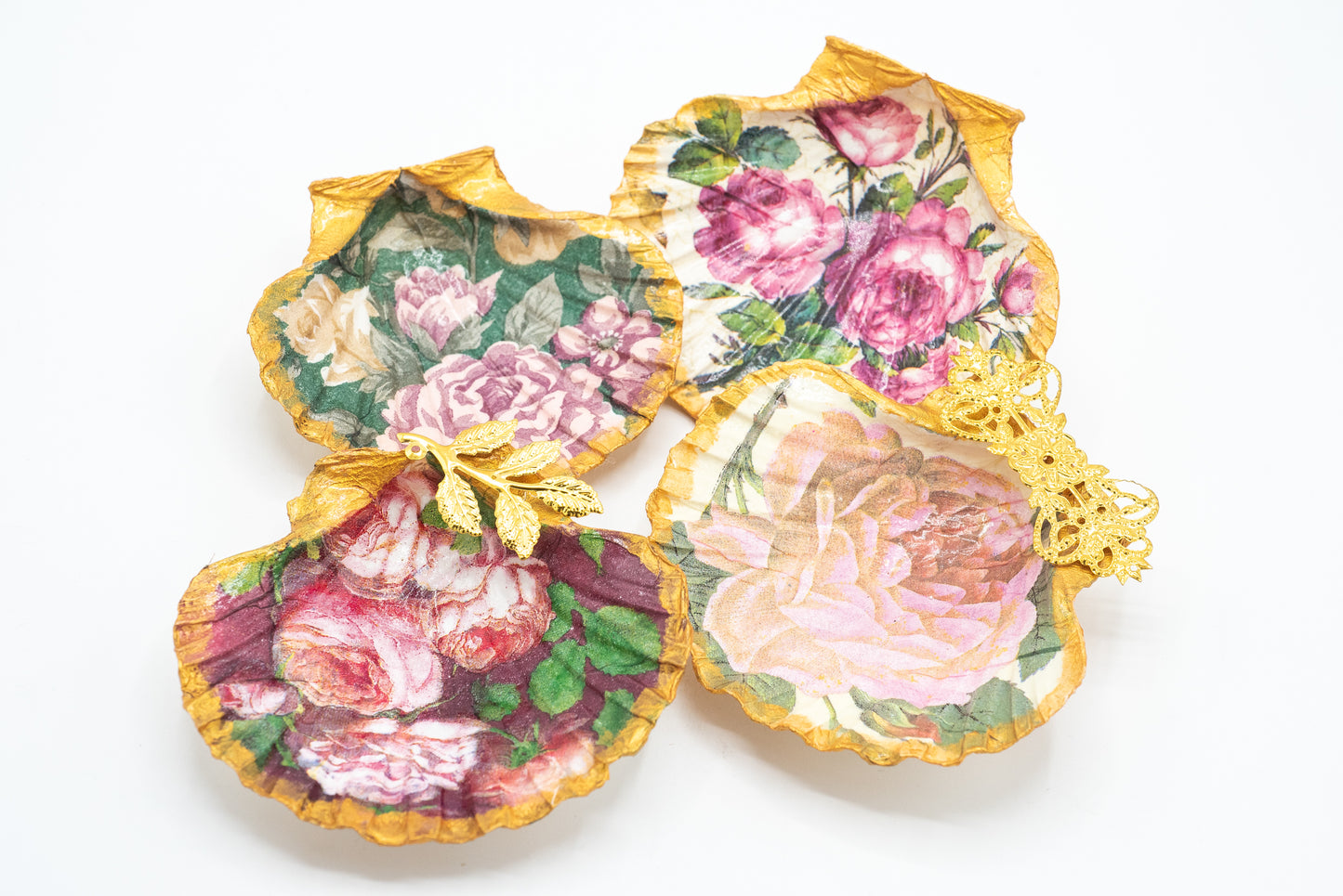 Le conchiglie "vestite"